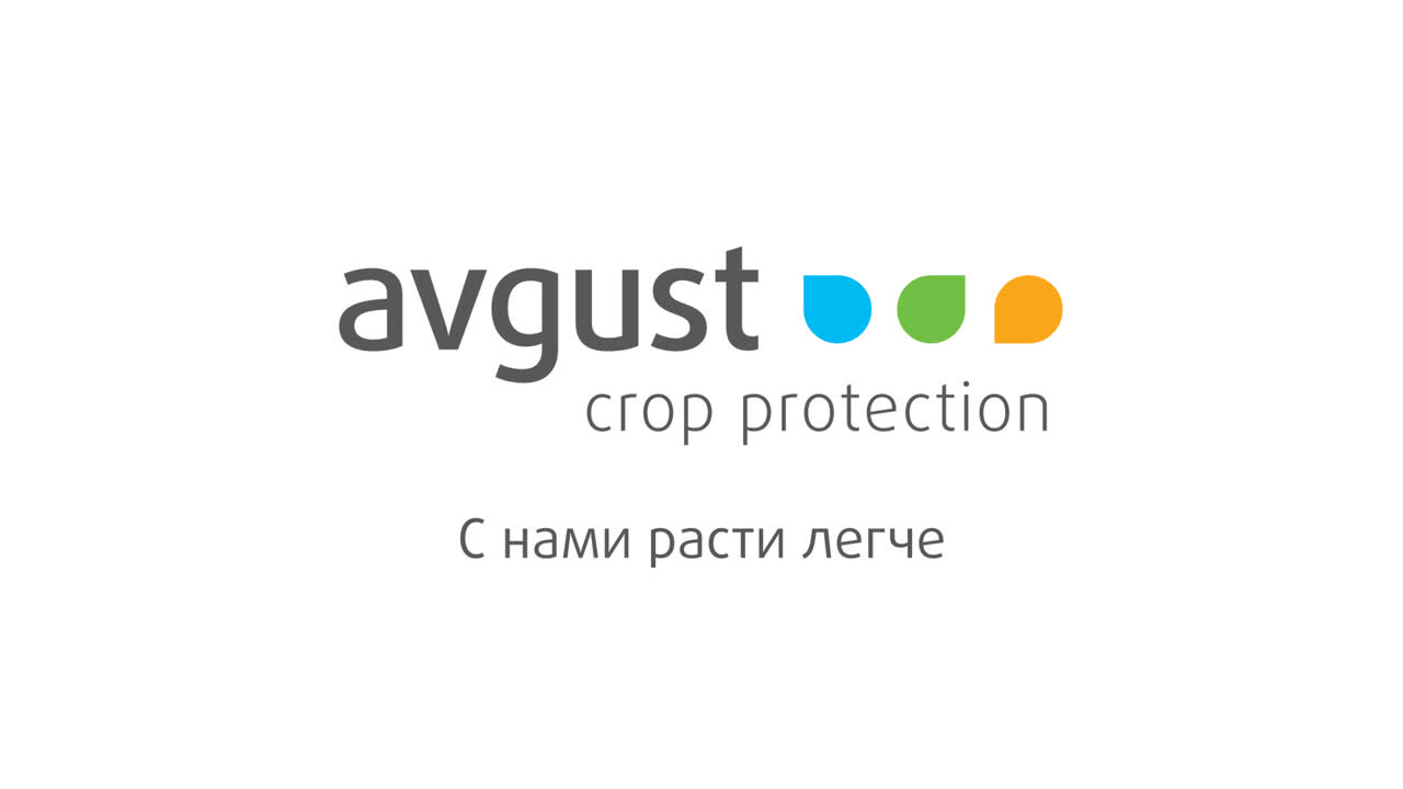 Август